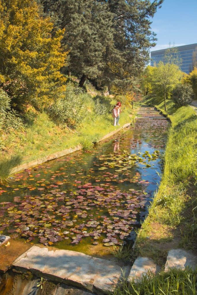 A peaceful spring scene with a canal lined with greenery and flowers in a botanical garden.
